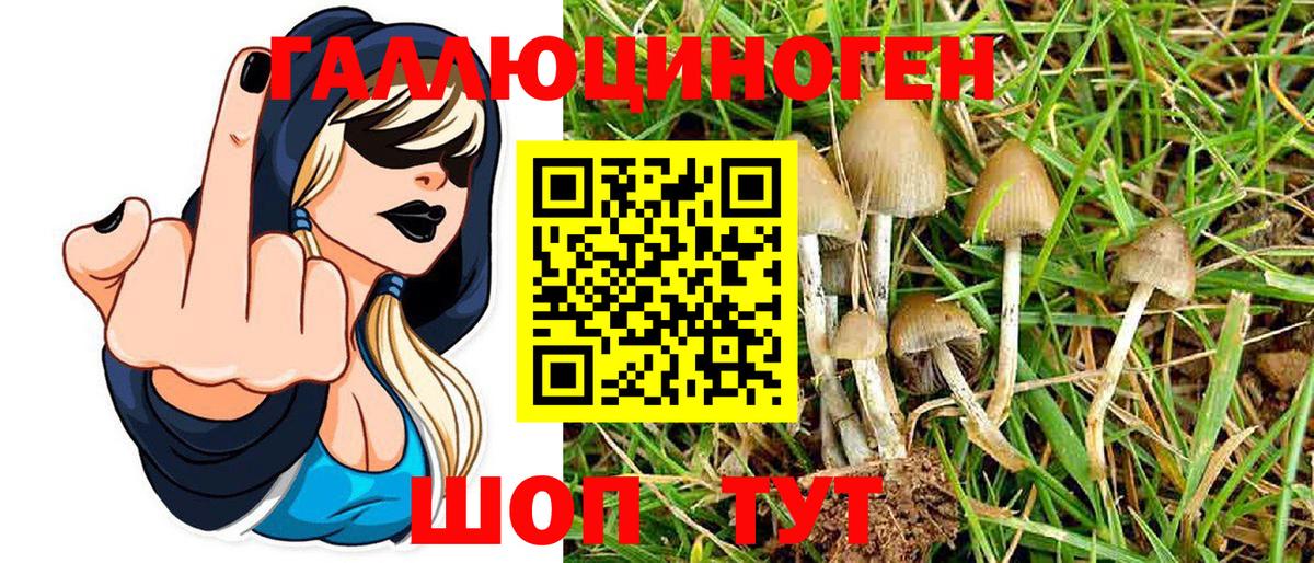 Абинск  Галлюциногенные грибы Psilocybe  купить наркоту  Вход с VPN 